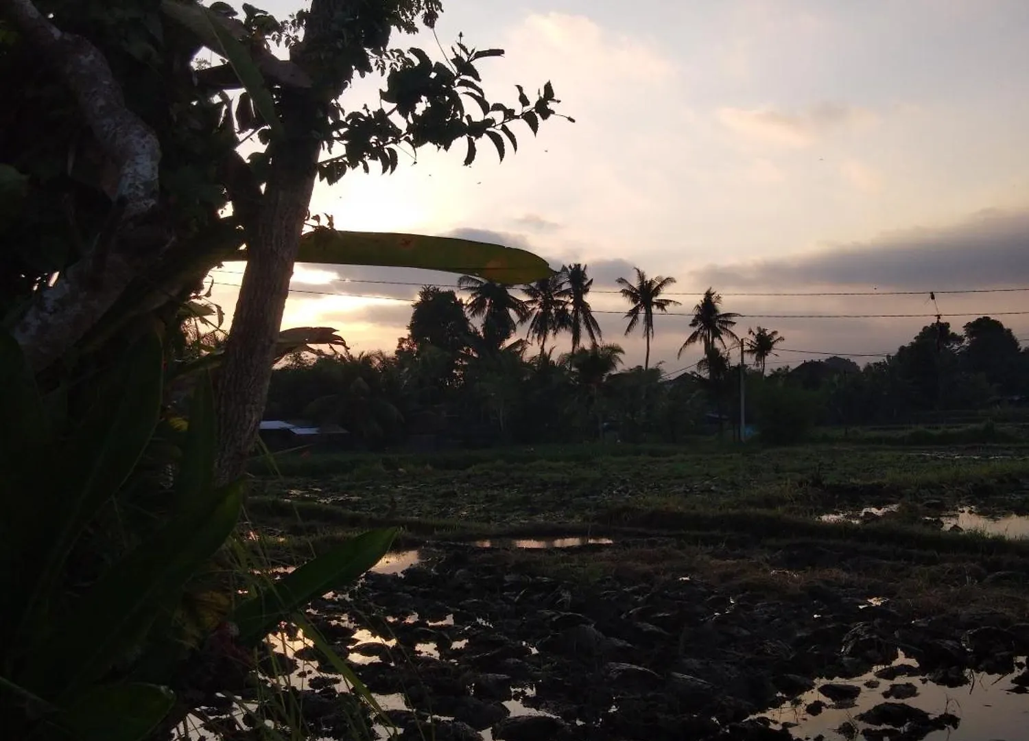 The Morgan Villa Ubud  0*, Ubud (Bali)