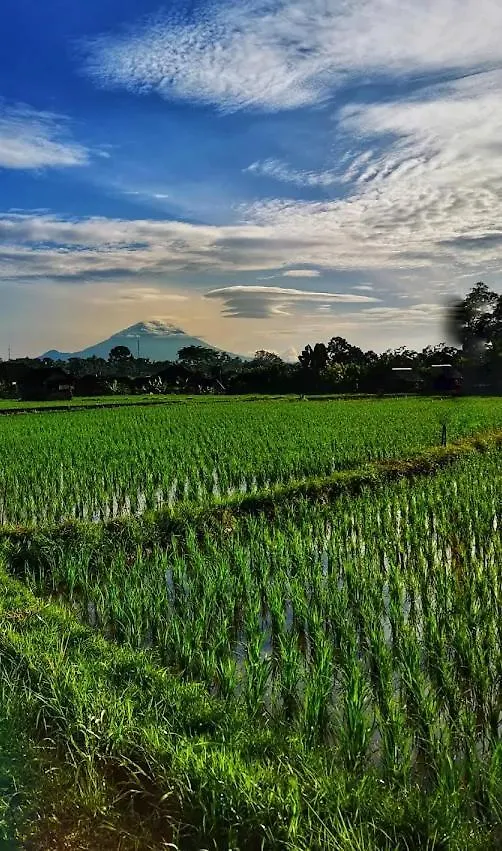 The Morgan Villa Ubud