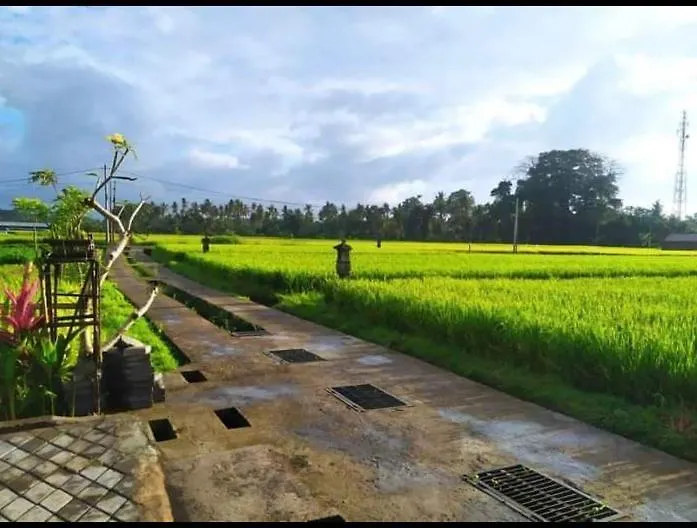 The Morgan Villa Ubud  Indonesia